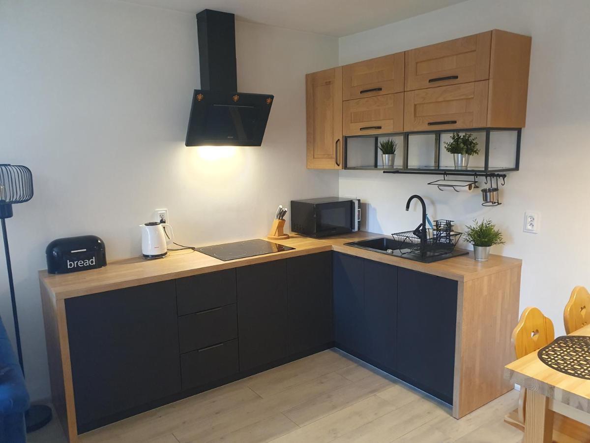Apartament Sobiczkowa Zakopane Косцелиско Экстерьер фото